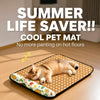Pet Mat for Cats and Dogs