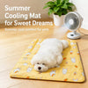Plastic Pet Rest Mat for Dogs & Cats