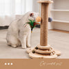 Cat Scratching Post and Climbing Tower