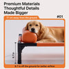 Raised Faux Leather Pet Cot for Small and Medium Dogs and Cats