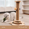 Cat Scratching Post and Climbing Tower