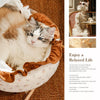 French-Style Cat Bed with Rocking Base