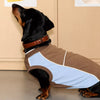 Faux Leather Collar for Small Dogs and Cats