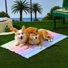 Summer Pet Mat for Dogs and Cats