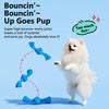 Squeaky Tug Ball Toy for Small and Medium Dogs
