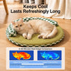 Round Woven Pet Bed with Removable, Washable Two-Layer Mat