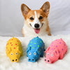 Latex Squeaky Pig Toy for Dogs