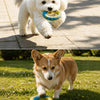 Nylon Dog Tug Toy with Ring, Figure-Eight and Tug Styles