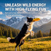 Floating Dog Flying Disc Toy for Fetch and Outdoor Play