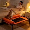 Raised Faux Leather Pet Cot for Small and Medium Dogs and Cats