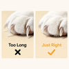 Little Guardian Cat Nail Clippers