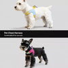 Y-Front Dog Harness with Leash