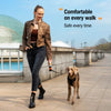 Retractable Dog Leash