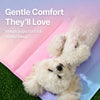Summer Pet Mat for Dogs and Cats