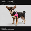 Y-Front Dog Harness with Leash
