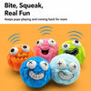Plush Squeaky Ball Dog Toy