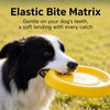 Floating Dog Flying Disc Toy for Fetch and Outdoor Play