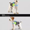 Y-Front Dog Harness with Leash