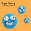 Plush Squeaky Ball Dog Toy