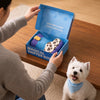 Dog Snuffle Boot Toy with Crinkle and Squeaker
