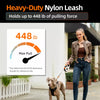 Retractable Dog Leash