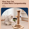 Cat Scratching Post and Climbing Tower