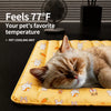 Plastic Pet Rest Mat for Dogs & Cats