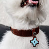 Faux Leather Collar for Small Dogs and Cats