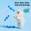 Squeaky Tug Ball Toy for Small and Medium Dogs