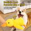 Plush Squeaky Duck Dog Toy