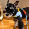 Y-Front Dog Harness with Leash