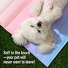 Summer Pet Mat for Dogs and Cats