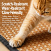Pet Mat for Cats and Dogs