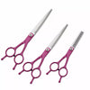 Pet Grooming Shears