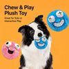 Plush Squeaky Ball Dog Toy
