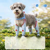 Water-Resistant Dog Rain Suit with Built-In Foot Covers