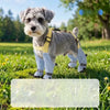 Water-Resistant Dog Rain Suit with Built-In Foot Covers