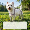 Water-Resistant Dog Rain Suit with Built-In Foot Covers