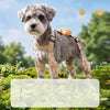 Water-Resistant Dog Rain Suit with Built-In Foot Covers