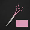 Pet Grooming Shears