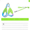 Y-Front Dog Harness with Leash